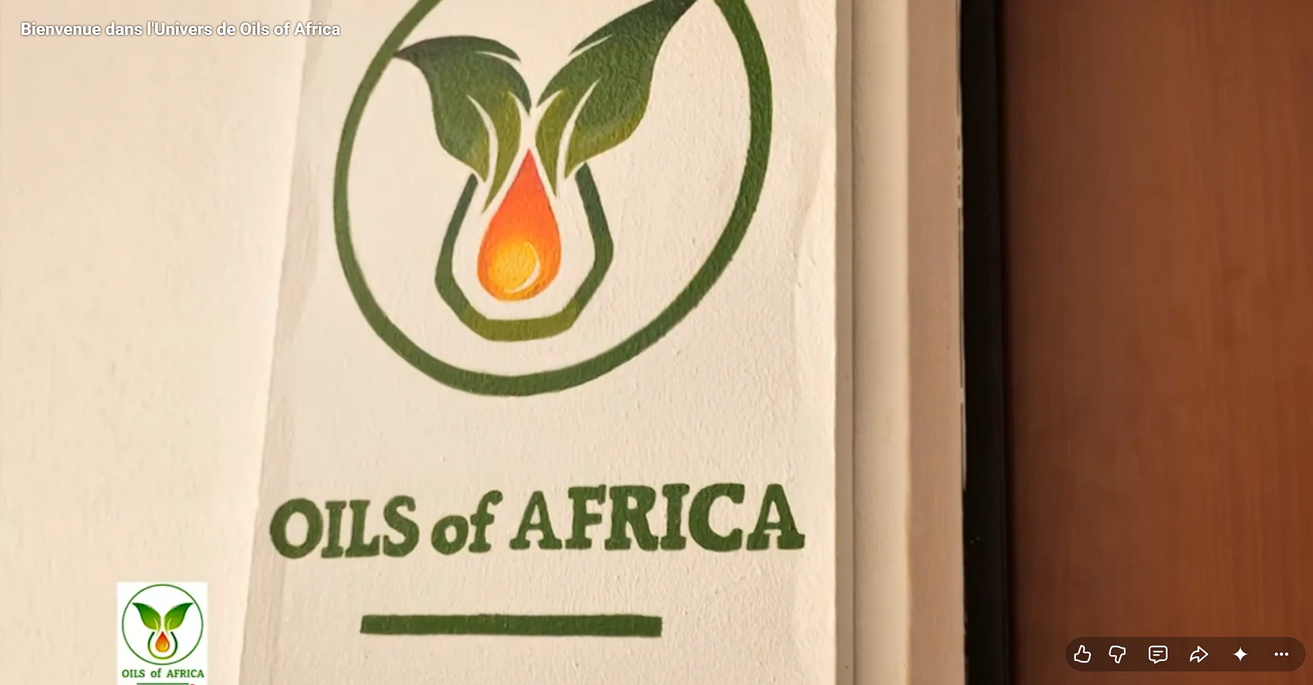 Presensation de l'equipe de oils of africa